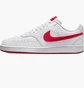 Кроссовки мужские Nike Court Vision Lo Nn Ess Grey/Blue HF1744-101