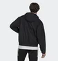 Куртка чоловіча Adidas Storm Black HG2062