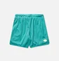 Шорти чоловічі Air Jordan Essentials Mesh Turquoise DH9048-392