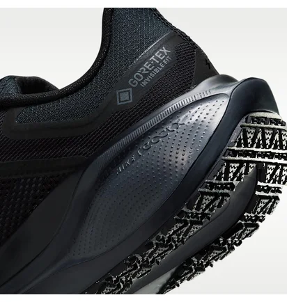 Кросівки чоловічі Nike Pegasus 41 Gore-Tex Waterproof Road Running Black FQ1357-001