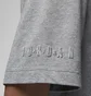 Футболка чоловіча Air Jordan T-Shirt Essentials Grey DX9581-091