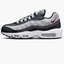 Кросівки чоловічі Nike Air Max 95 Grey DM0011-011