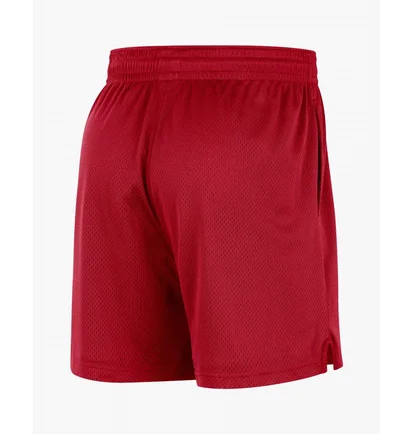 Шорты мужские Nike Chicago Bulls Red FB3725-657