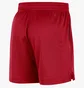 Шорты мужские Nike Chicago Bulls Red FB3725-657