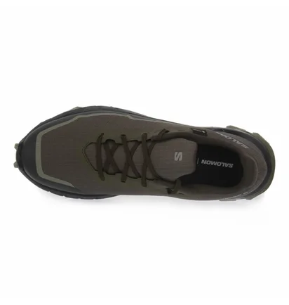 Кросівки чоловічі Salomon Alphacross 5 Gtx Olive 473103