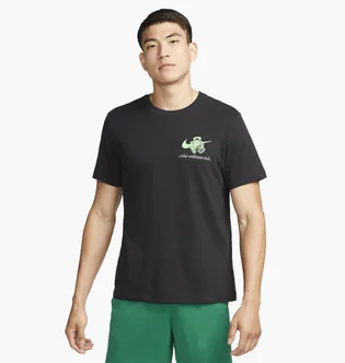 Футболка мужская Nike T-Shirt Dri-Fit Black FJ2450-010