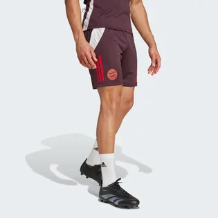 Шорти чоловічі Adidas Fc Bayern Tiro 24 Training Bordo IS9949