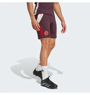 Шорты мужские Adidas Fc Bayern Tiro 24 Training Bordo IS9949