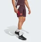 Шорты мужские Adidas Fc Bayern Tiro 24 Training Bordo IS9949