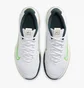 Кроссовки мужские Nike Court Vapor Lite 2 Hard Court Tennis Shoes White DV2018-101