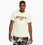Футболка мужская Nike Dri-Fit Tee Oc 2 Beige HJ3352-133