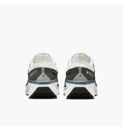 Кроссовки мужские Nike Winflo 11 Gore-Tex White/Black FQ1358-004