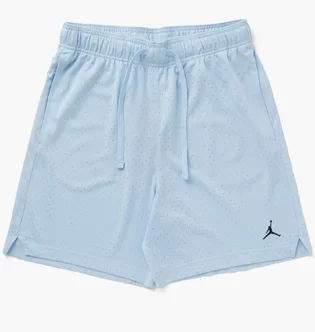 Шорти чоловічі Air Jordan M J Df Sprt Mesh Short Light Blue FN5816-441