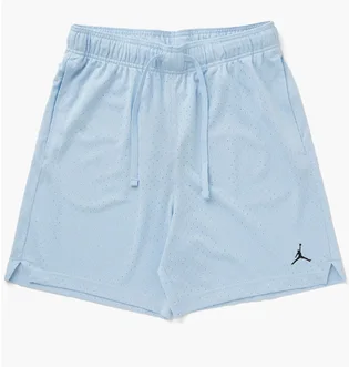 Шорти чоловічі Air Jordan M J Df Sprt Mesh Short Light Blue FN5816-441