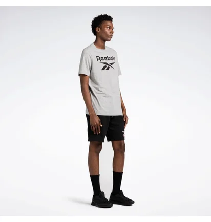 Футболка мужская Reebok Identity Big Stacked Logo T-Shirt Grey 100071173