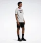 Футболка мужская Reebok Identity Big Stacked Logo T-Shirt Grey 100071173