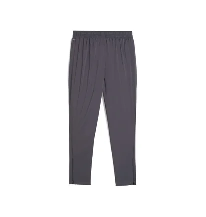 Штаны мужские Puma Tad Essentials Grey 525916-69