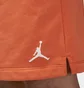 Шорты мужские Air Jordan Essentials Shorts Orange DX9675-812