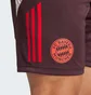 Шорты мужские Adidas Fc Bayern Tiro 24 Training Bordo IS9949