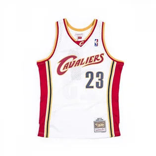 Майка чоловіча Mitchell & Ness Nba Swingman Jersey Cleveland Cavaliers 2003-04 Lebron James White SMJYCP19209-CCAWHIT03LJA