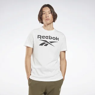 Футболка чоловіча Reebok Ri Big Logo Tee White HD4218