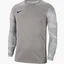 Лонгслів чоловічий Nike Dry Park Iv Grey Cj6066-052
