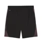 Шорти чоловічі Puma Individualfinal Black 660428-01