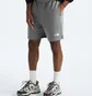 Шорти чоловічі The North Face Evolution Grey NF0A86WDGAZ-R