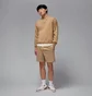 Свитшот мужской Air Jordan Brooklyn Fleece Beige FV7293-257