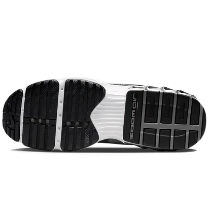 Кросівки жіночі Nike Zoom Air Fire Metallic DR7852-001