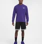 Лонгслів чоловічий Nike T-Shirt Max90 Violet HF6195-504