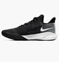 Кросівки унісекс Nike Precision Iv Black White CK1069-001