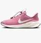 Кросівки жіночі Nike Revolution 7 Easyon Pink FN7999-601