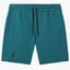 Шорти чоловічі AUSTRALIAN Fleece Essential Short Turquoise LSUSH0001-184