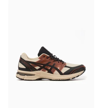 Кроссовки мужские Asics Gel-Terrain Brown 1203A342-250