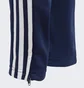 Штаны детские Adidas Tiro 19 Blue Dt5177