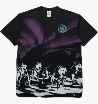 Футболка мужская Nike Acg Northern Lights Tee Black FZ5279-010
