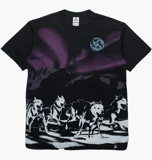 Футболка мужская Nike Acg Northern Lights Tee Black FZ5279-010