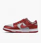 Кроссовки женские Nike Dunk Low Red/Grey DX5931-001