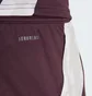 Шорты мужские Adidas Fc Bayern Tiro 24 Training Bordo IS9949