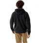 Толстовка мужская Arc'teryx Emblem Black X000009929_002291