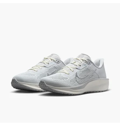 Кроссовки женские Nike Quest 6 Grey FD6034-007