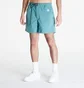 Шорти чоловічі Nike Acg Hiking Shorts Light Blue FN2430-338