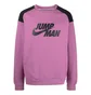 Свитшот мужской Air Jordan Jumpman Violet DJ0240-507