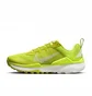 Кросівки жіночі Nike Wildhorse 8 Green DR2689-300