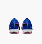 Бутси унісекс Nike Zoom Vapor 16 Pro Fg Blue FQ8685-446