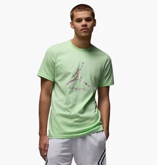 Футболка мужская Air Jordan Sport Green HQ7984-376