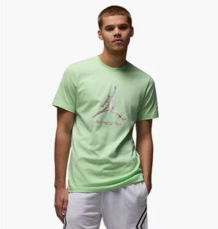 Футболка мужская Air Jordan Sport Green HQ7984-376