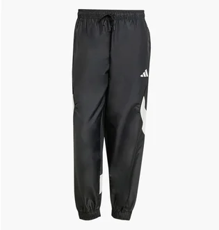 Штани чоловічі Adidas Stadium Black JN1830