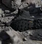 Кросівки чоловічі Adidas Terrex Skychaser Ax5 Mid Gtx Black JQ2207